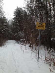 snowshoerun