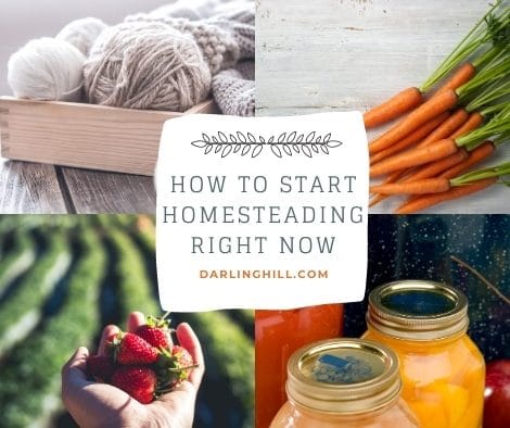how to start homesteading right now